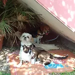 Corona Bed & Breakfast