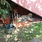 Corona Bed & Breakfast Bed & Breakfast
