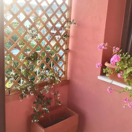 Bed and Breakfast Corona Bed & Breakfast 3*