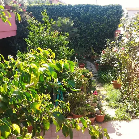 Corona Bed & Breakfast Sardara