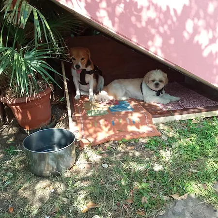 Corona Bed & Breakfast Bed & Breakfast