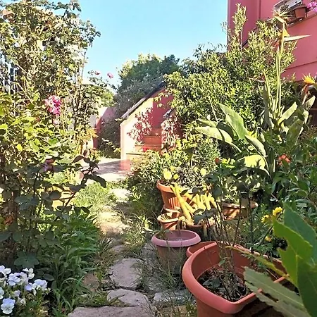 Corona Bed & Breakfast