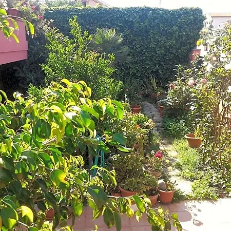 Corona Bed & Breakfast Bed & Breakfast